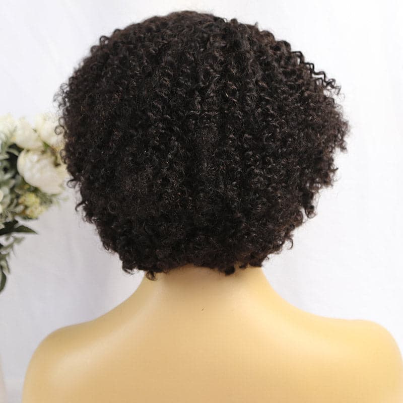 short kinky curly human hair 4x4 lace closure wig