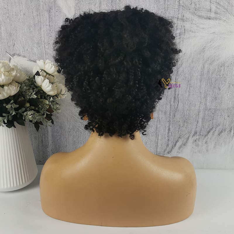 ann short curly wig with bang back
