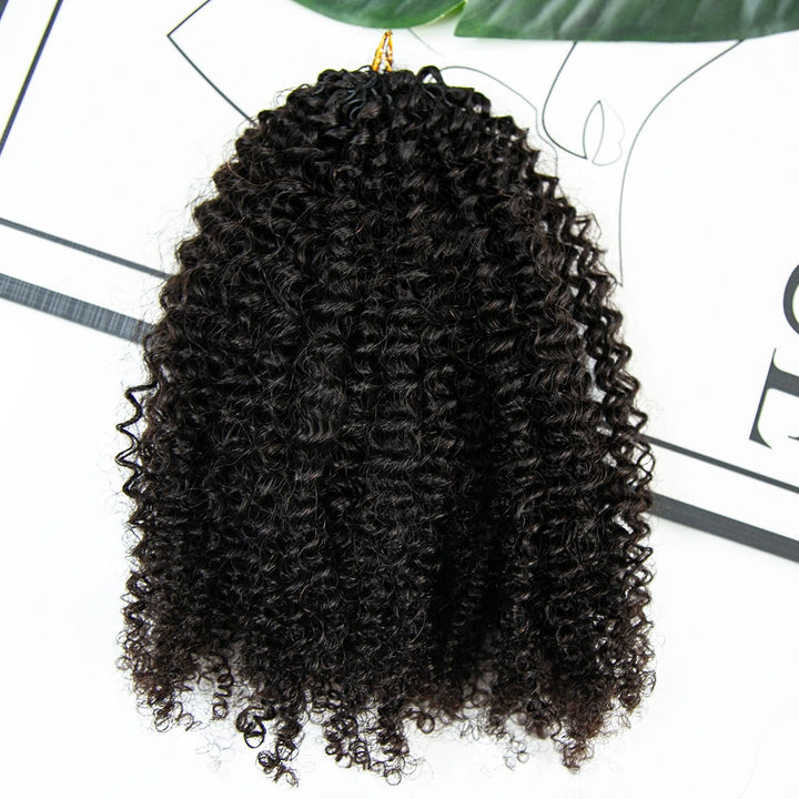 Afro Kinky Curly Crochet Hair Extensions Human Hair
