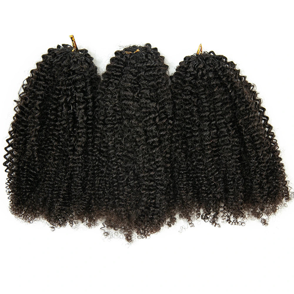 Afro Kinky Curly for Black Fashion Woman Crochet Hair Extensions Human Hair