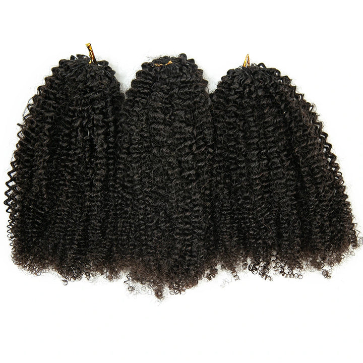 Afro Kinky Curly for Black Fashion Woman Crochet Hair Extensions Human Hair