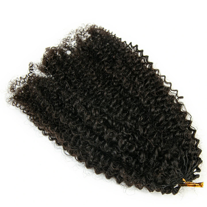 Afro Kinky Curly for Black Woman Crochet Hair Extensions Human Hair