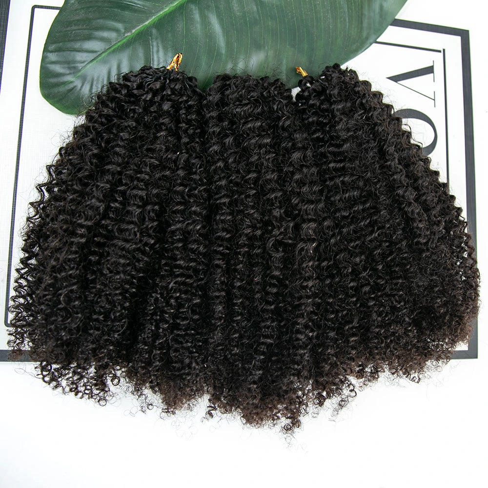 Afro Kinky Curly for Woman Crochet Hair Extensions Human Hair