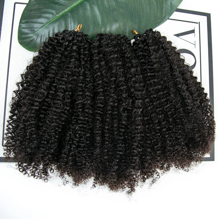 Afro Kinky Curly for Woman Crochet Hair Extensions Human Hair