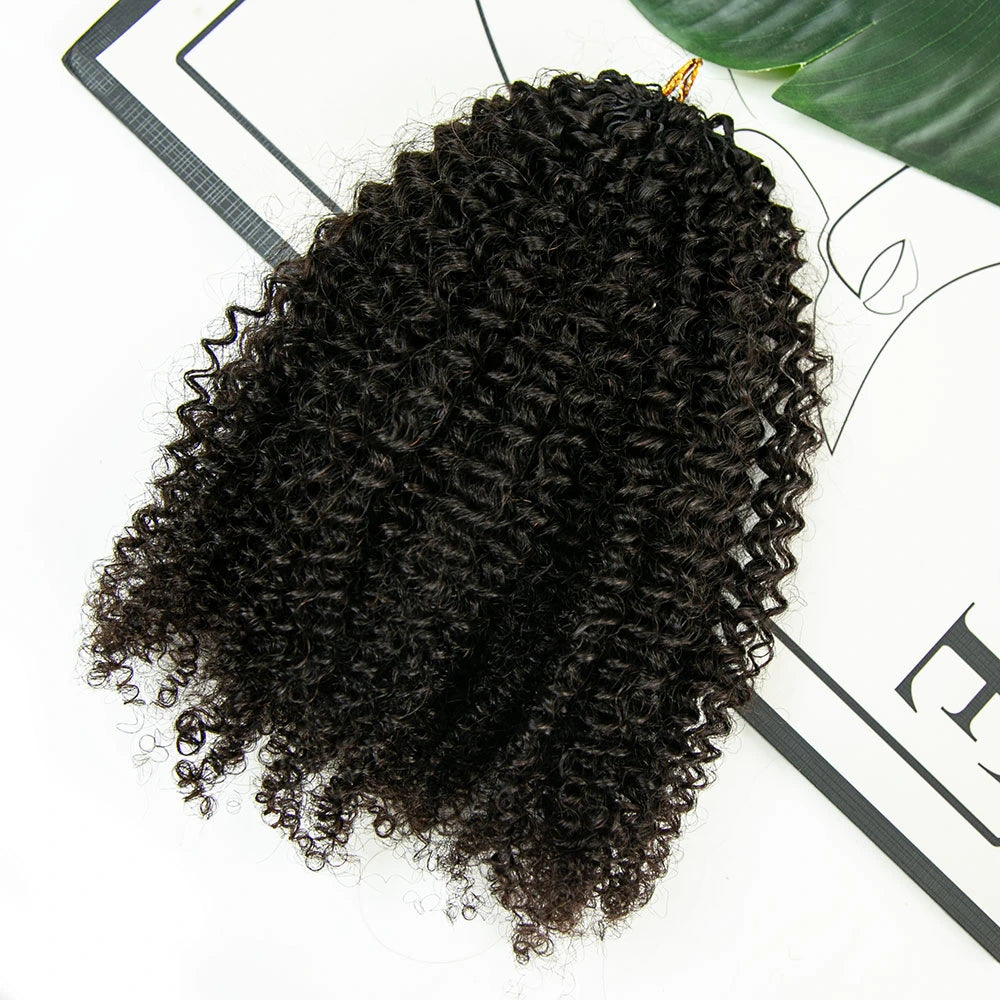Afro kinky curly human crochet hair for natural looks