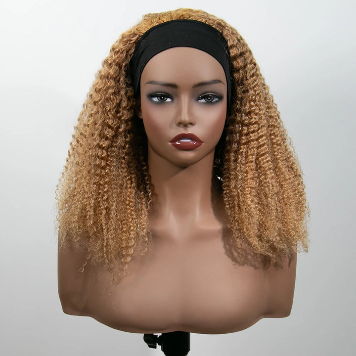 16 Inch 150% Density Color #27 Kinky Curly 13x4 Free Part Headbang Wig for Sale EAWO