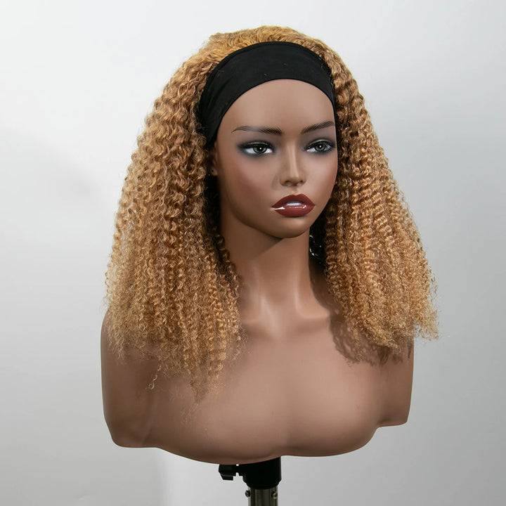 16 Inch 150% Density Color #27 Kinky Curly 13x4 Free Part Headbang Wig for Sale EAWO