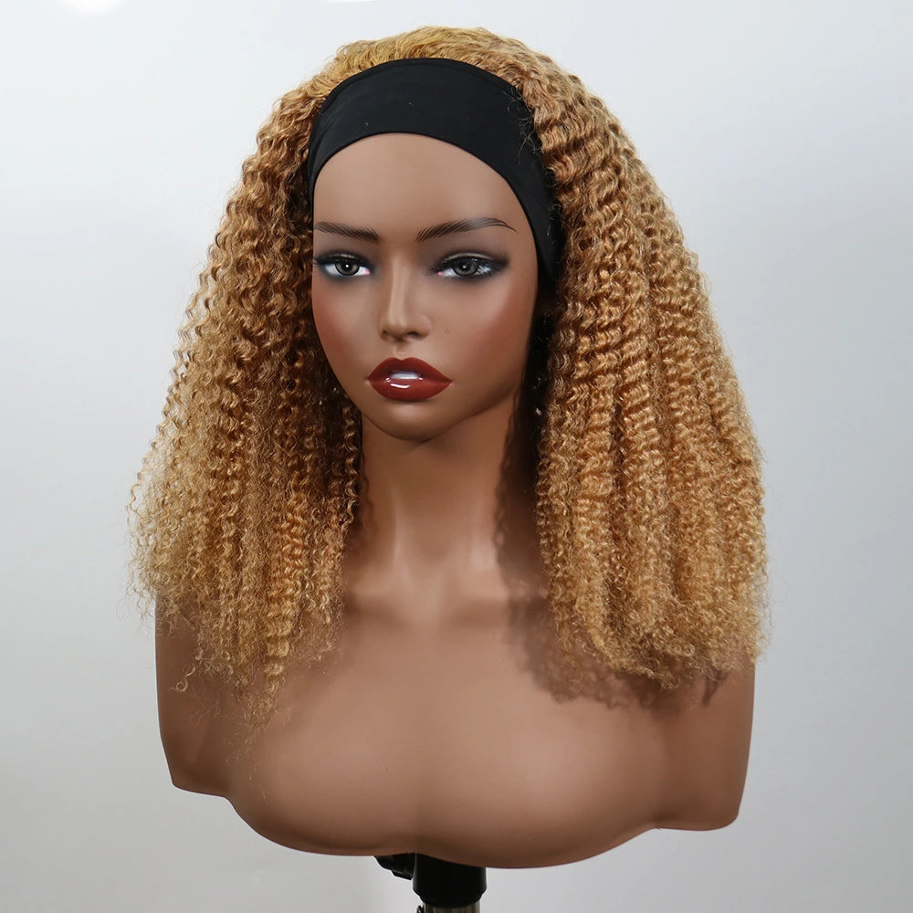 16 Inch 150% Density Color #27 Kinky Curly 13x4 Free Part Headbang Wig for Sale EAWO