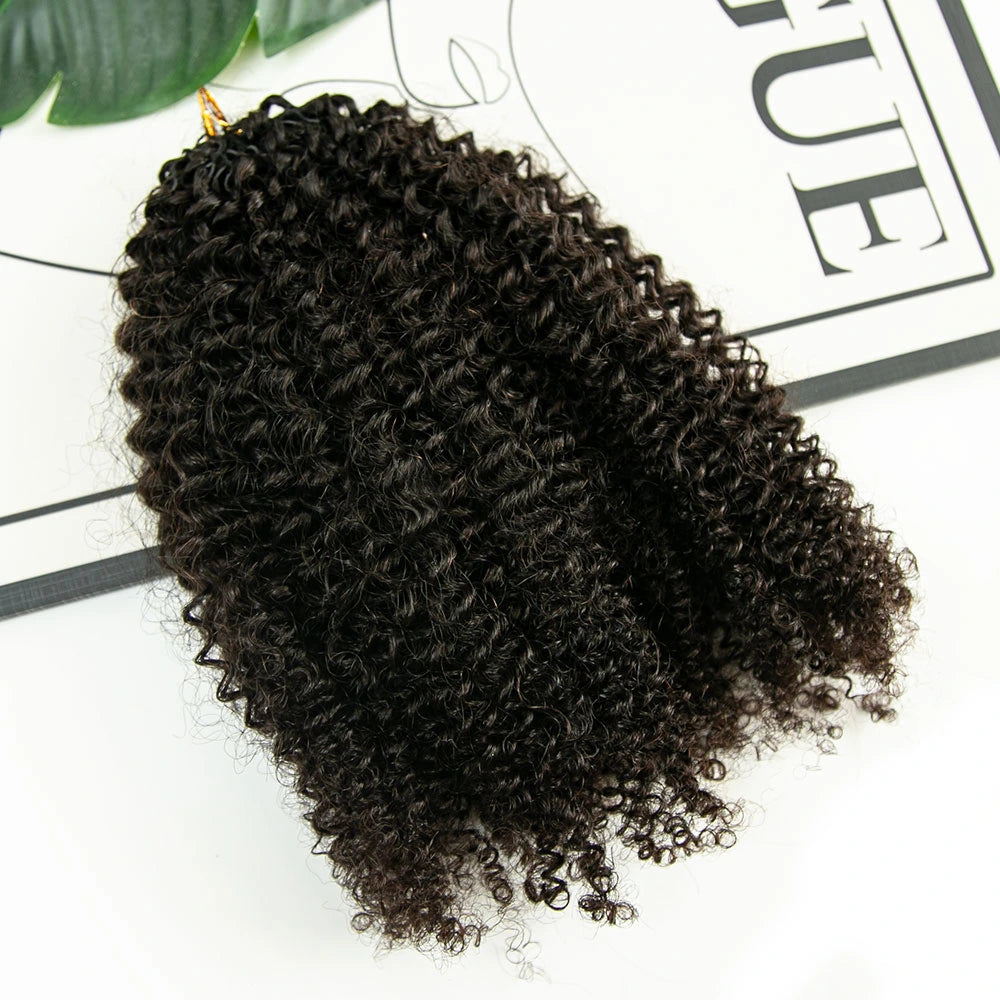 Crochet Hair Extensions Human Hair Afro Kinky Curly for Woman
