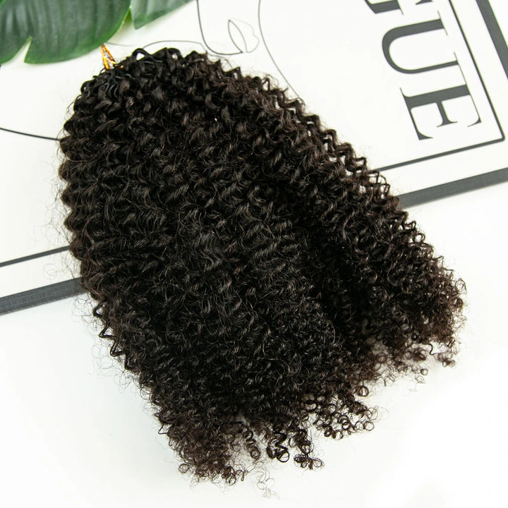 Crochet Hair Extensions Human Hair Afro Kinky Curly for Woman
