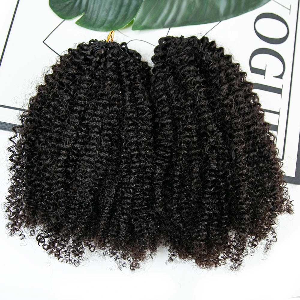 Human Hair Afro Kinky Curly for Woman Crochet Hair Extensions