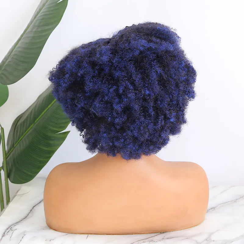 1B/Blue 10 inch 150% density Afro Kinky Curly Left Part 13x4 T Part Lace Front Wig for Sale MT231028-6
