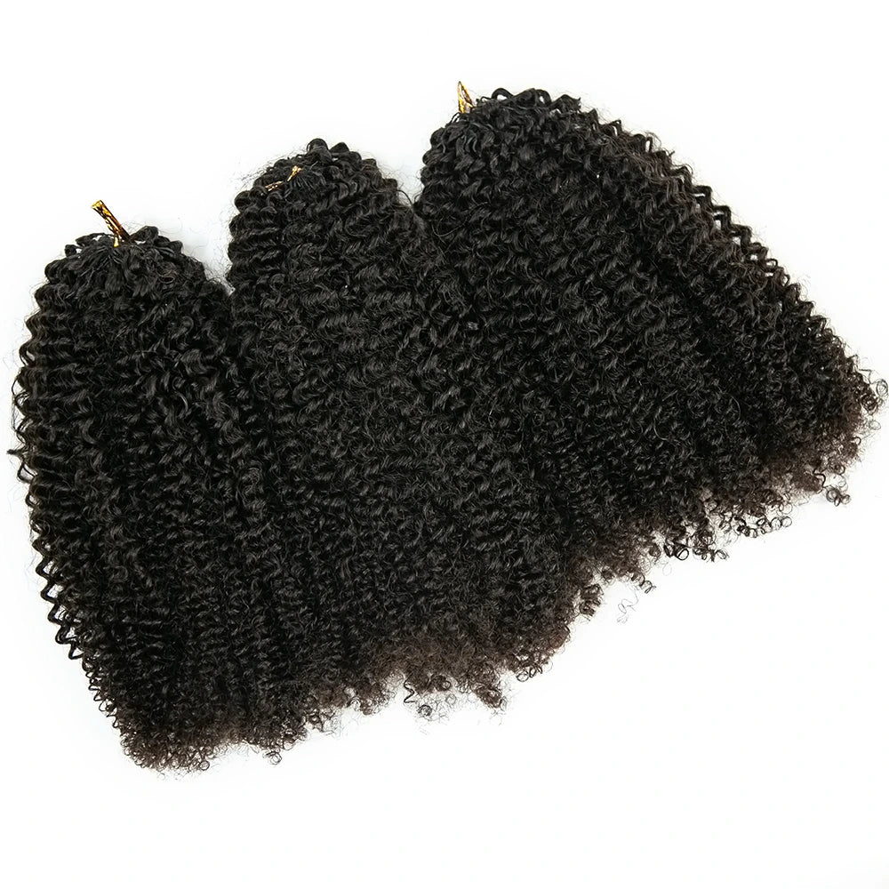 Kinky Curly for Black Fashion Woman Crochet Hair Extensions Human Hair