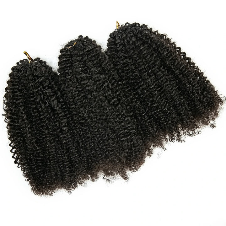 Kinky Curly for Black Fashion Woman Crochet Hair Extensions Human Hair