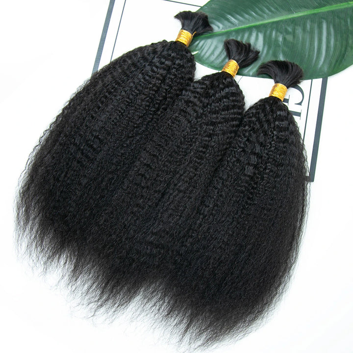 Kinky Straight Double Drawn Burmese Human Braiding Hair