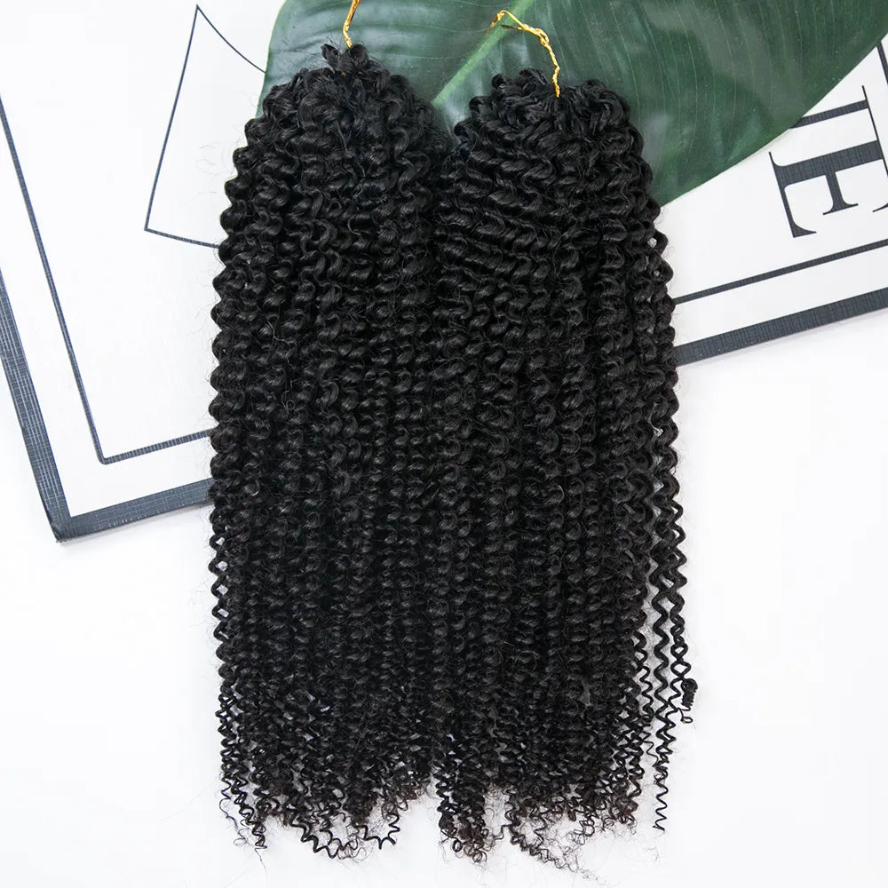 afro-kinky-curly-human-hair-extensions