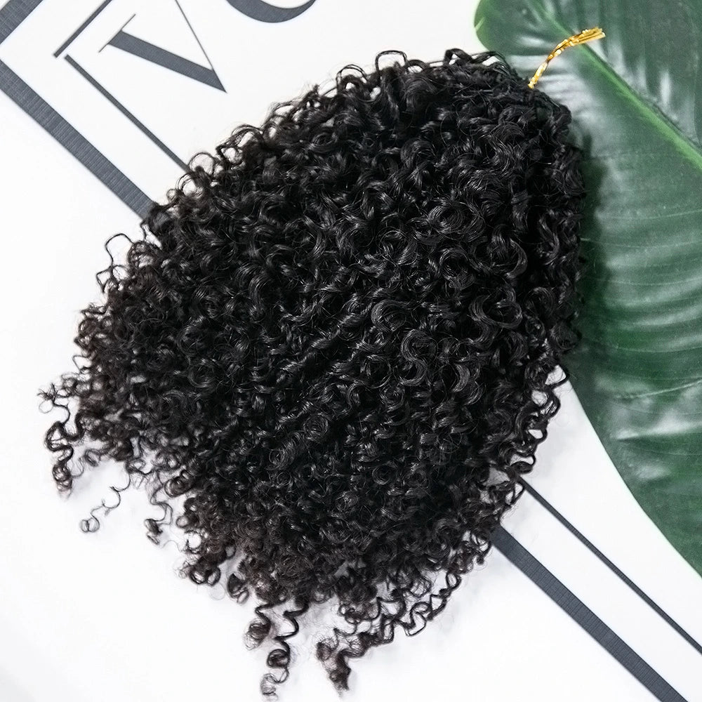 Ywigs Natural Black Kinky Curly Knotless Crochet Hair front view