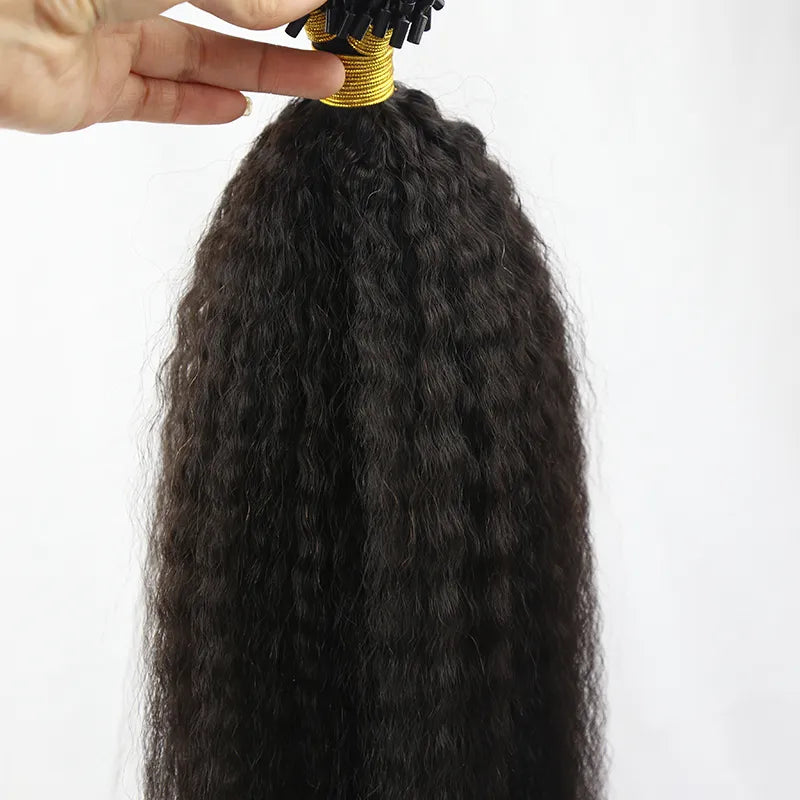 microloop hair extensions kinky straight