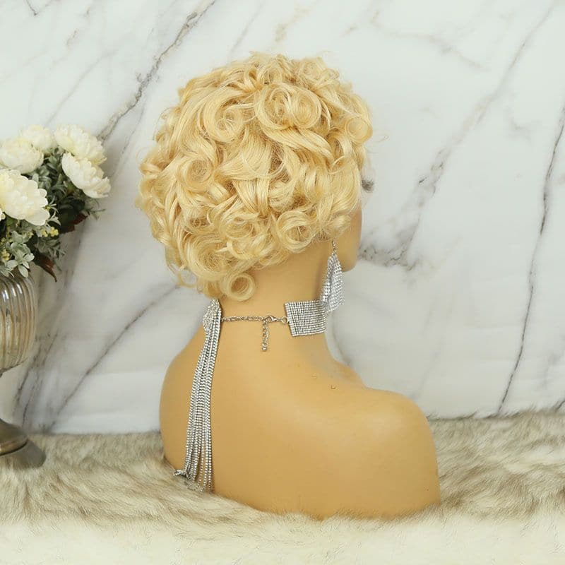 Curly #613 Blonde 13x6 T Closure Human Hair Wig back1