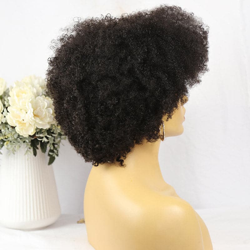 short afro kinky curly 4x4 lace closure wig for balck women