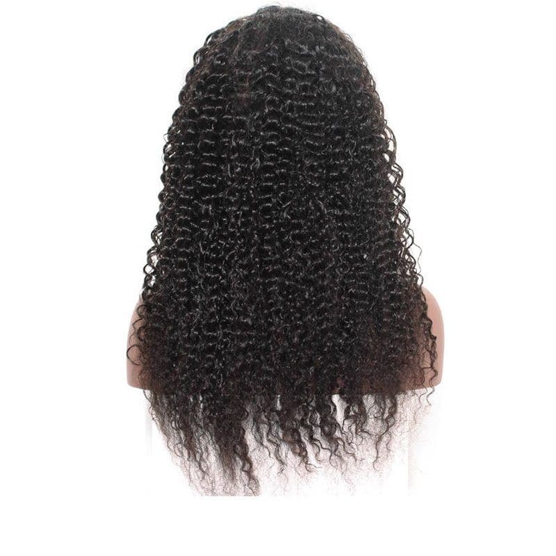 Jerry Curly 360 Lace Frontal Wigs Human Hair back1