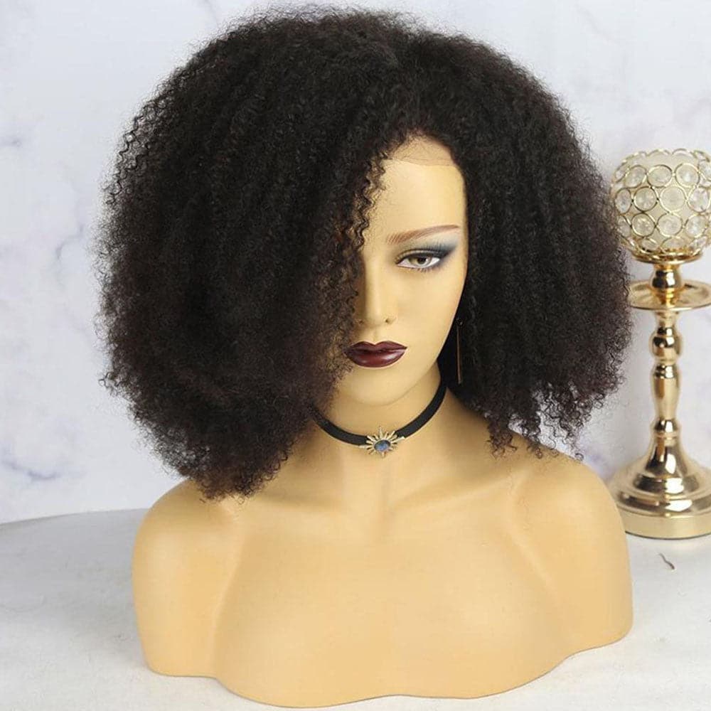 Nina Afro 13x6 Lace Front Wig 5