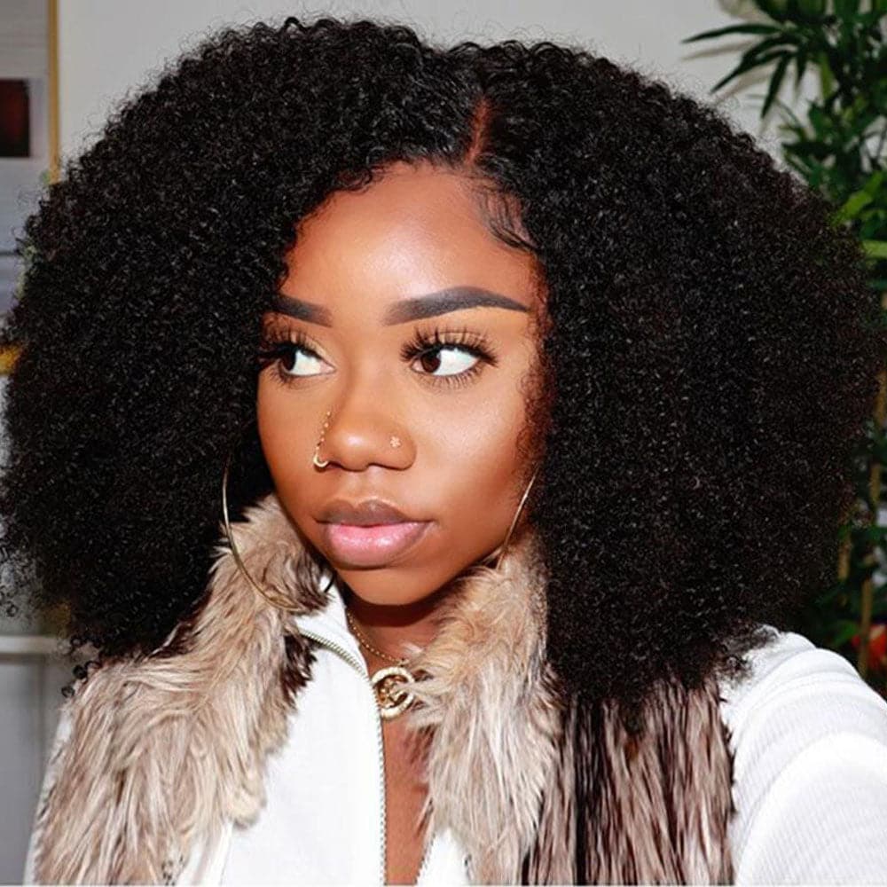 Nina Afro 13x6 Lace Front Wig 4