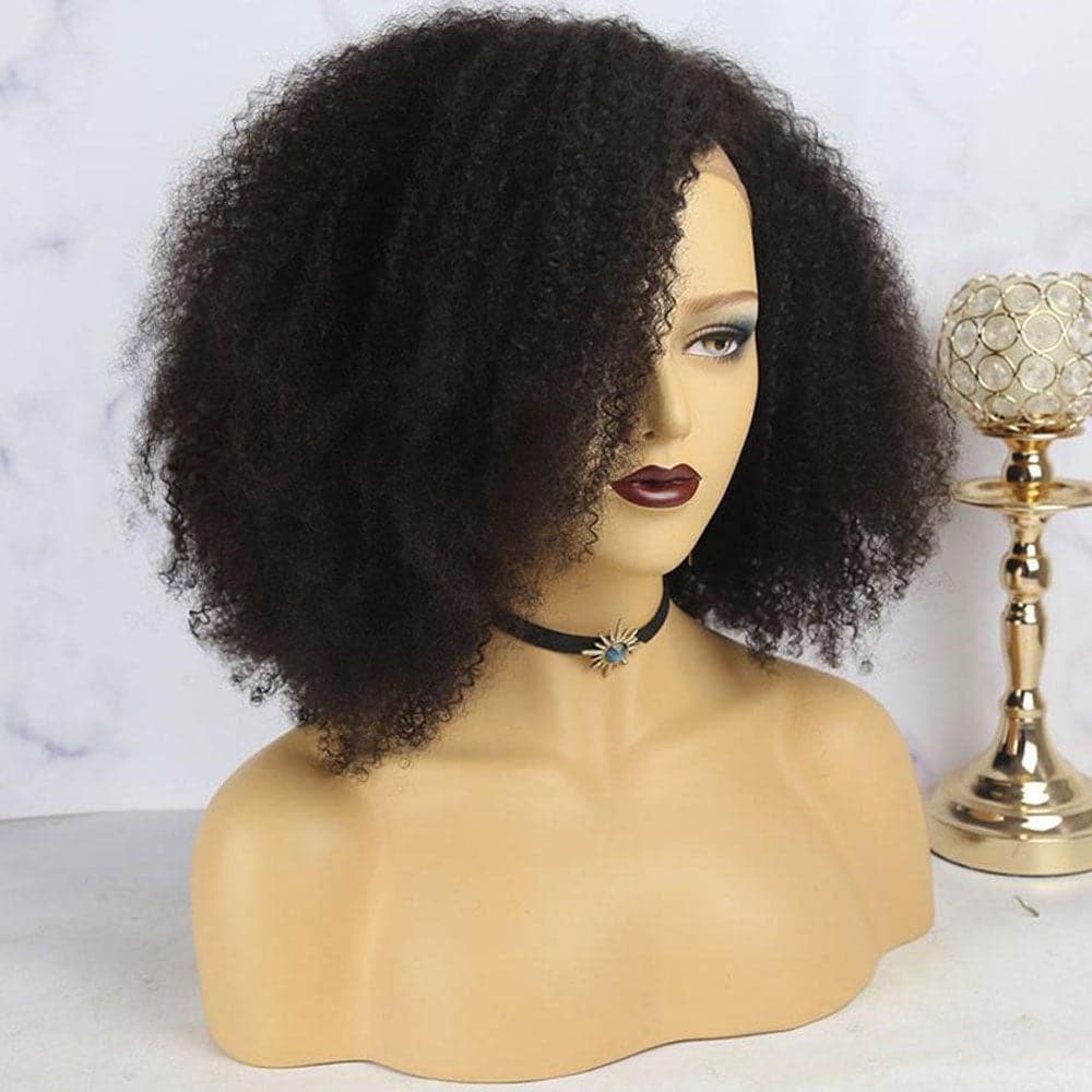 Nina Afro 13x6 Lace Front Wig 6