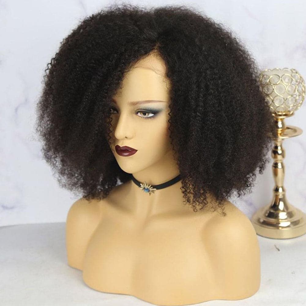 Nina Afro 13x6 Lace Front Wig 7