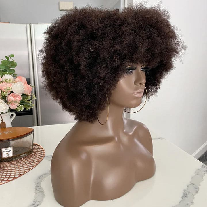 4C Afro 13x6 Lace Front Wig with Bangs