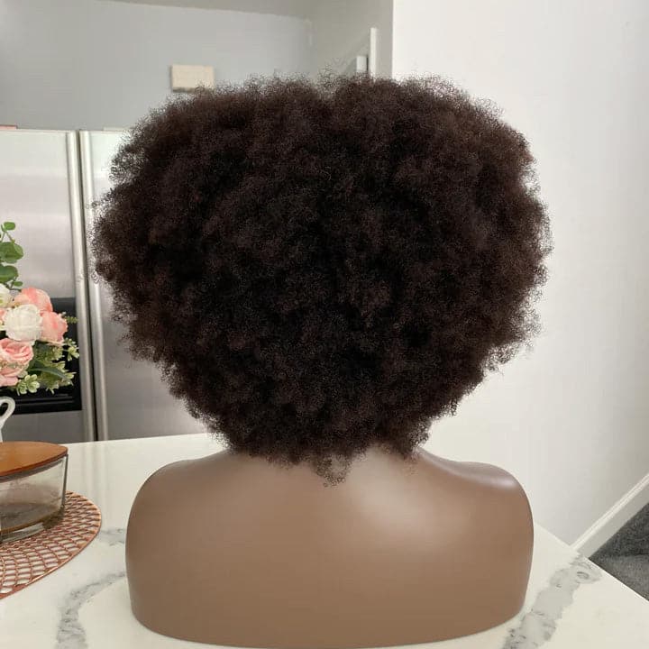 4C Afro 13x6 Lace Front Wig with Bangs