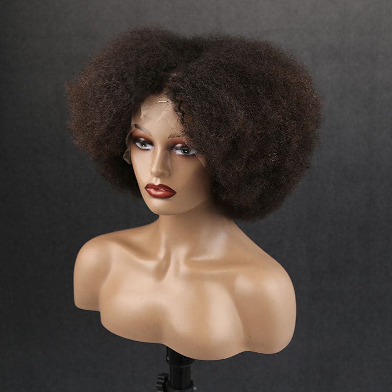teenie weenie afro kinky curly human hair 13x6 lace front wig one side